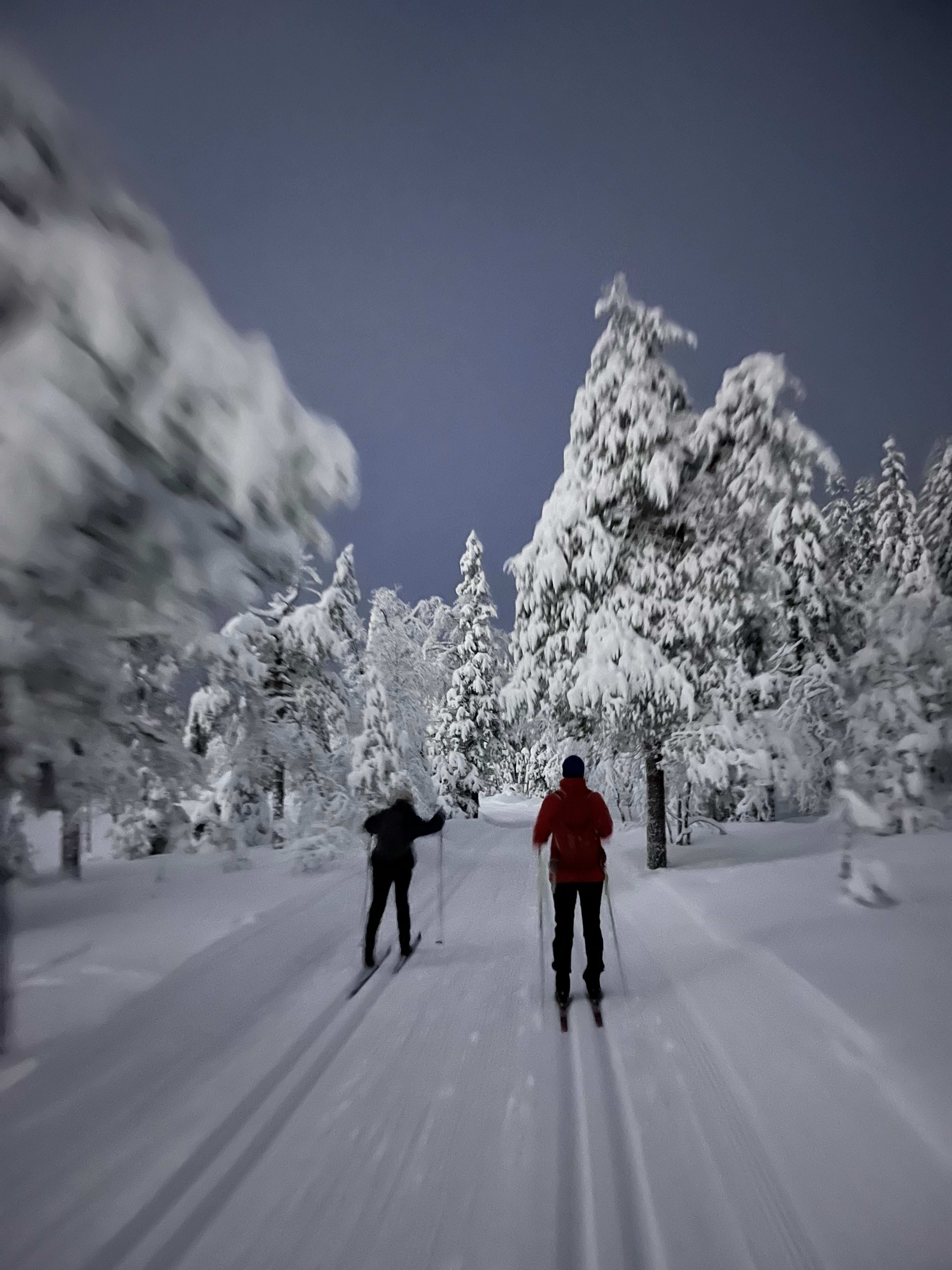 Det er mange ruter å velge mellom til Skjennungstua. Vi valgte løypene over Frøensvollmyrene. 