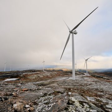 Eksperter uenige om fjerning av vindturbiner på Fosen: – Strømprisene vil gå opp
