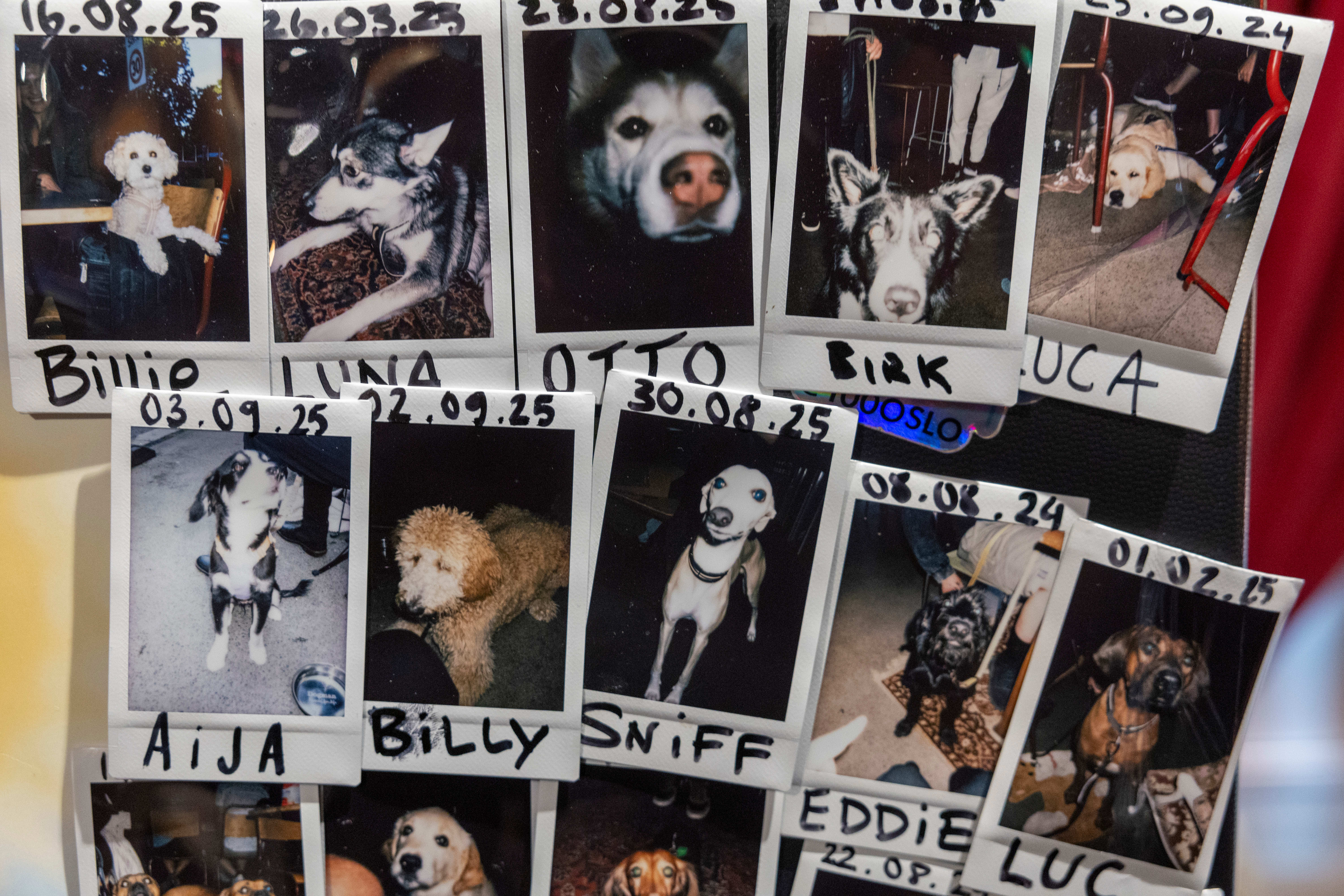 Firbente gjester blir foreviget.