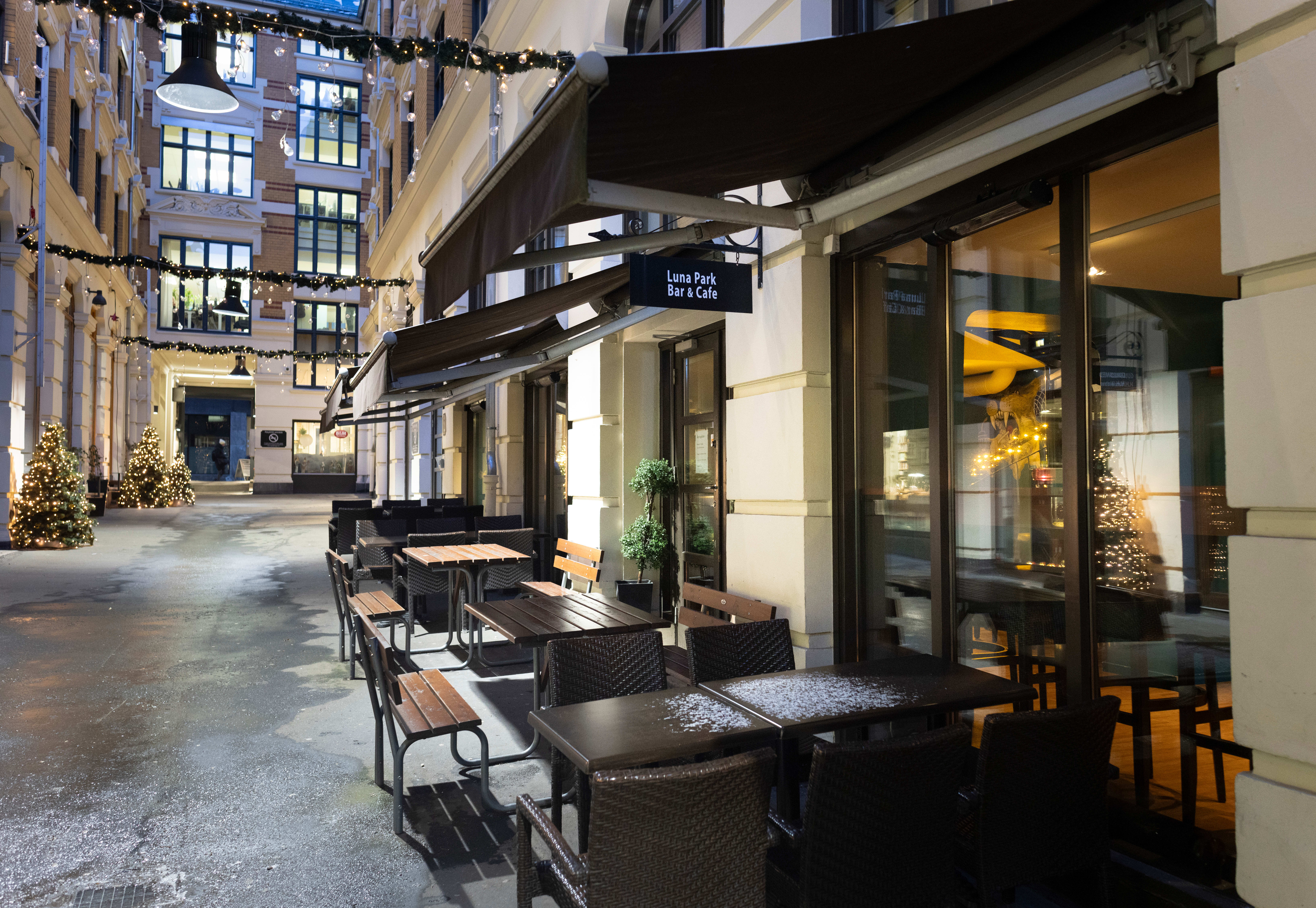 30 brune barer du må vite om i Oslo