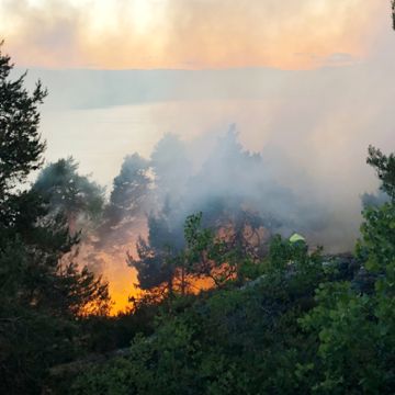Ekstremt stor brannfare i hele Sør-Norge – fremdeles ikke nedbør i sikte på Østlandet