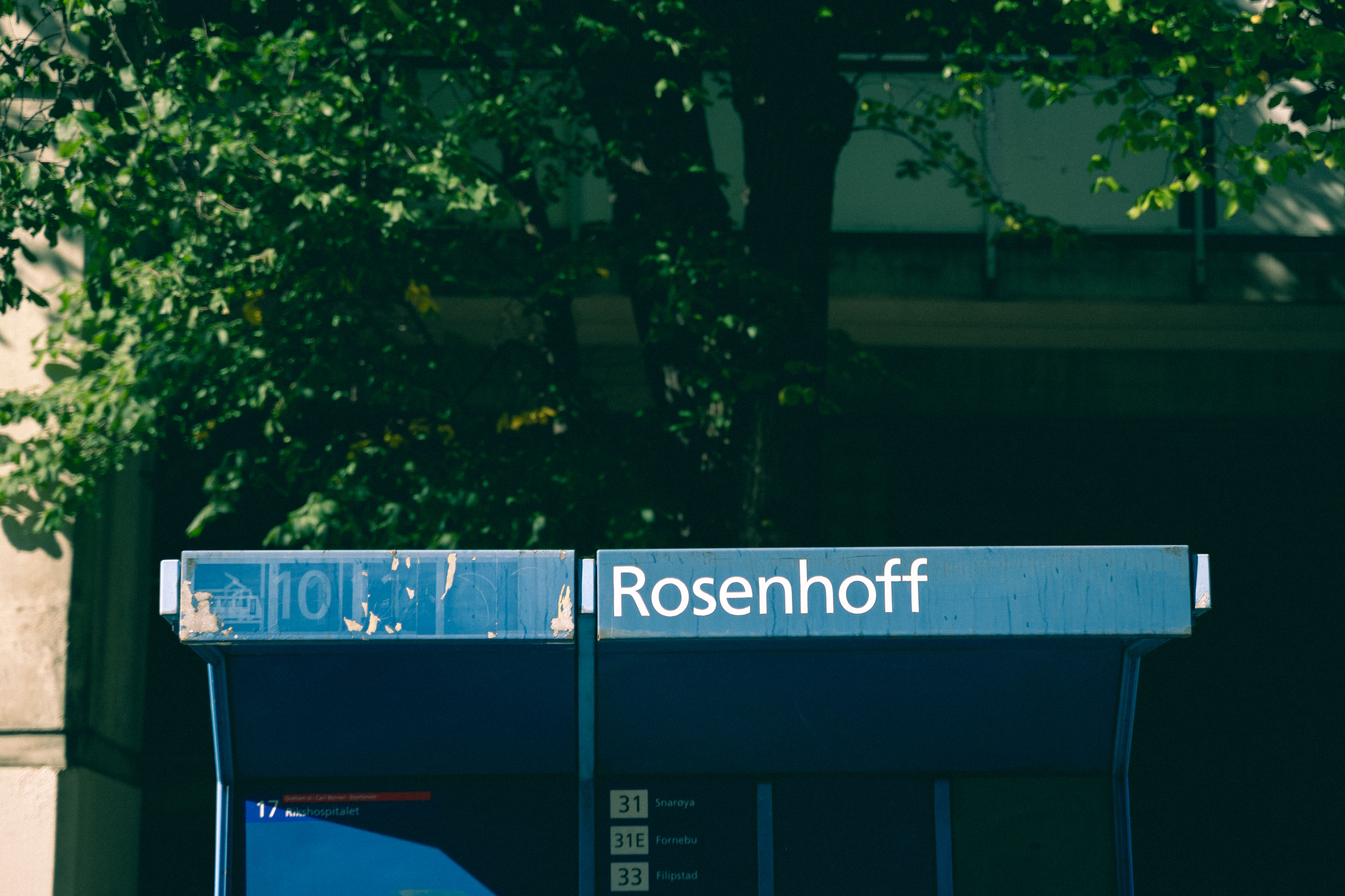 Den store guiden til sommer i Oslo