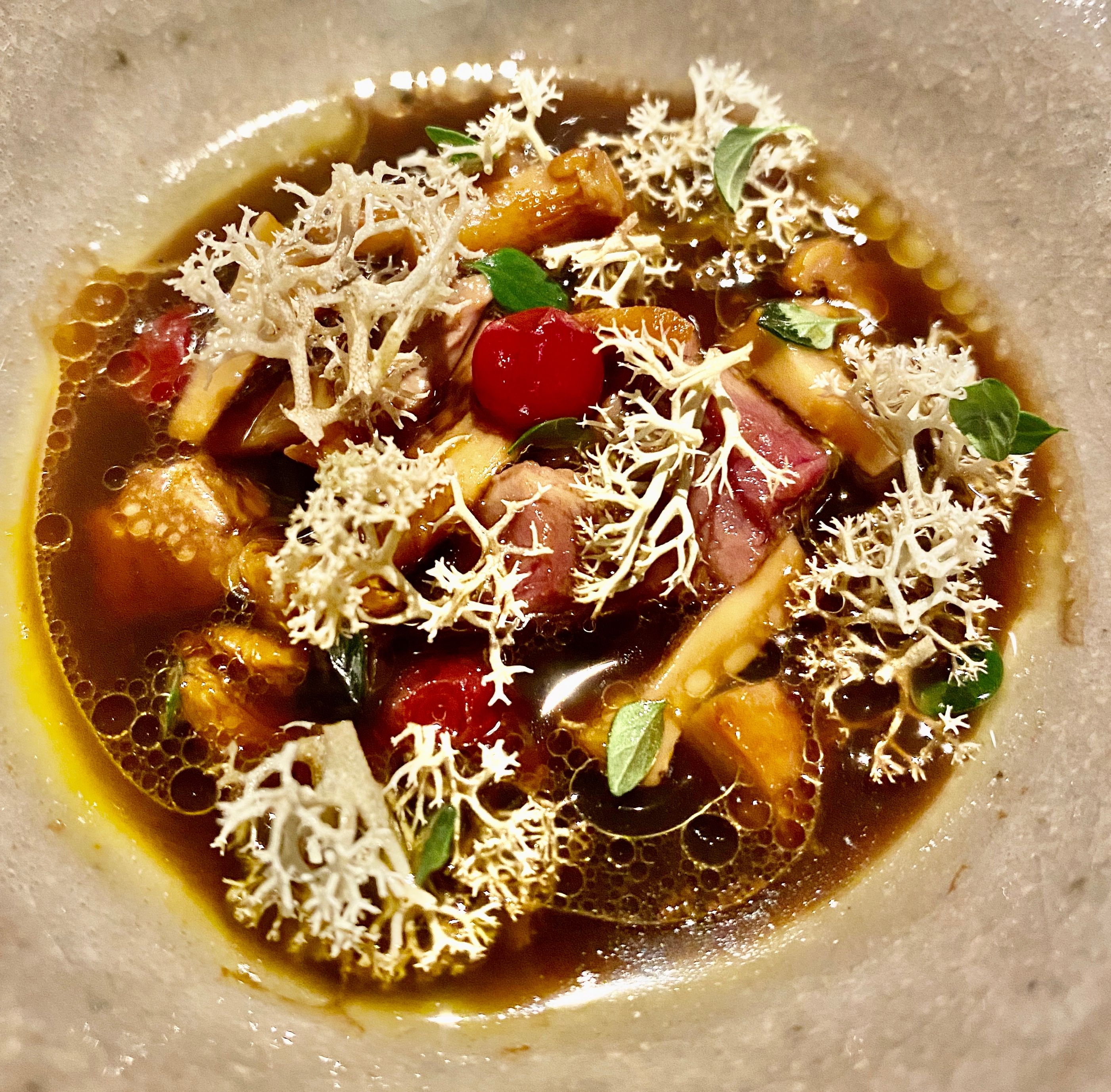 Nydelig soppbuljong med andekjøtt og tyttebær. 