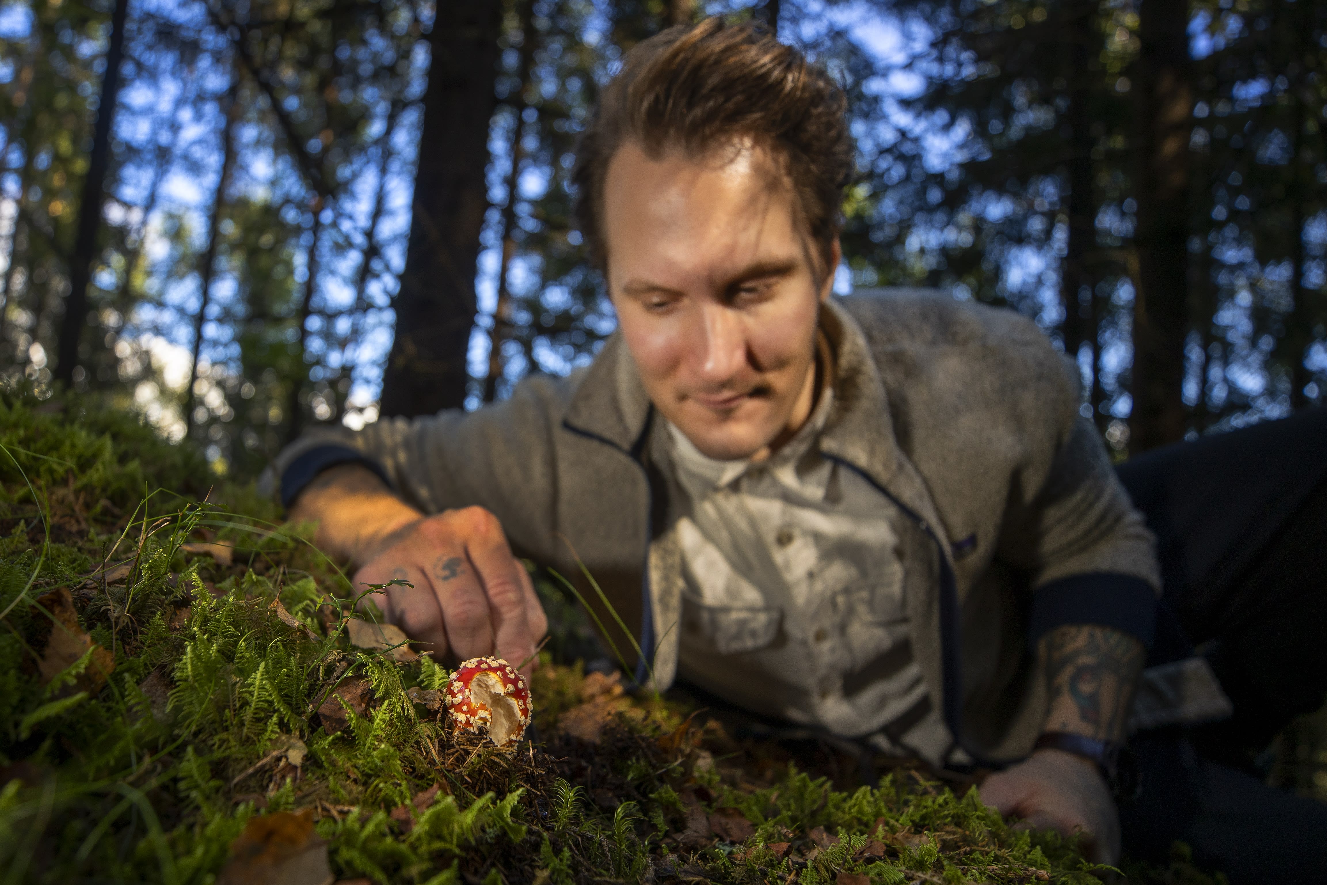 Rød fluesopp – vakker, uspiselig og farlig å få på matfatet.