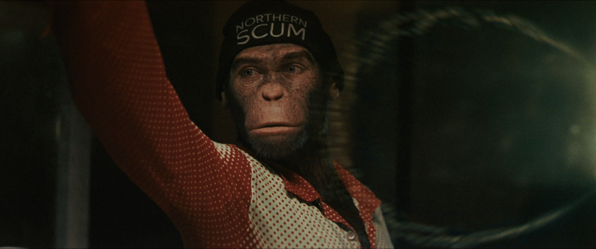 Artisten Robbie Williams spilles i hele filmen av en digital sjimpanse. Utrolig nok en genial idé. 