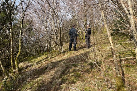Turgåer fant knokler i skogen: – Åpenbart at personen har vært død i flere år
