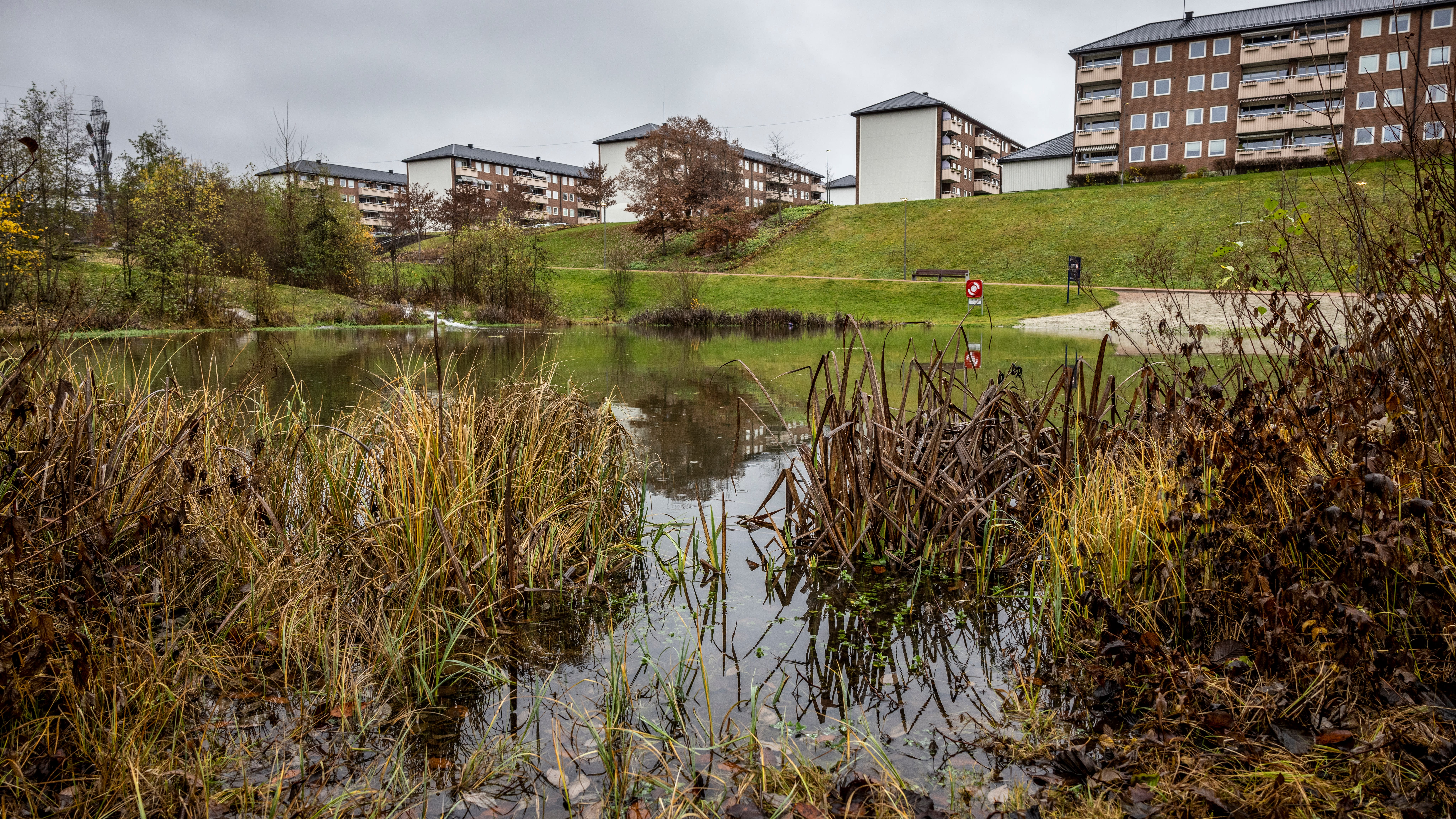 Rett ved Paviljongen finner vi en sentral promenade til badedammen.