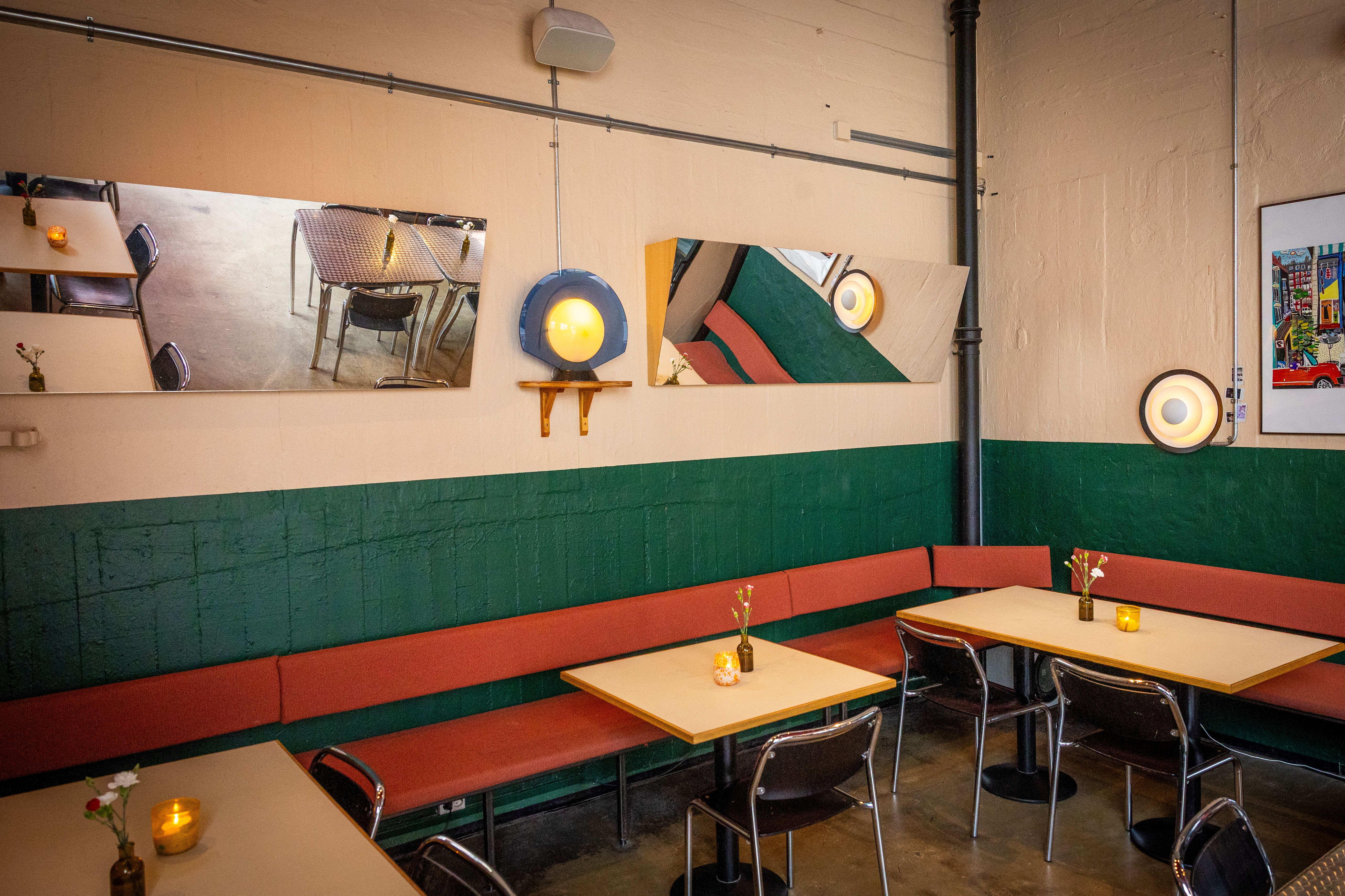 En blomst i nybyggland