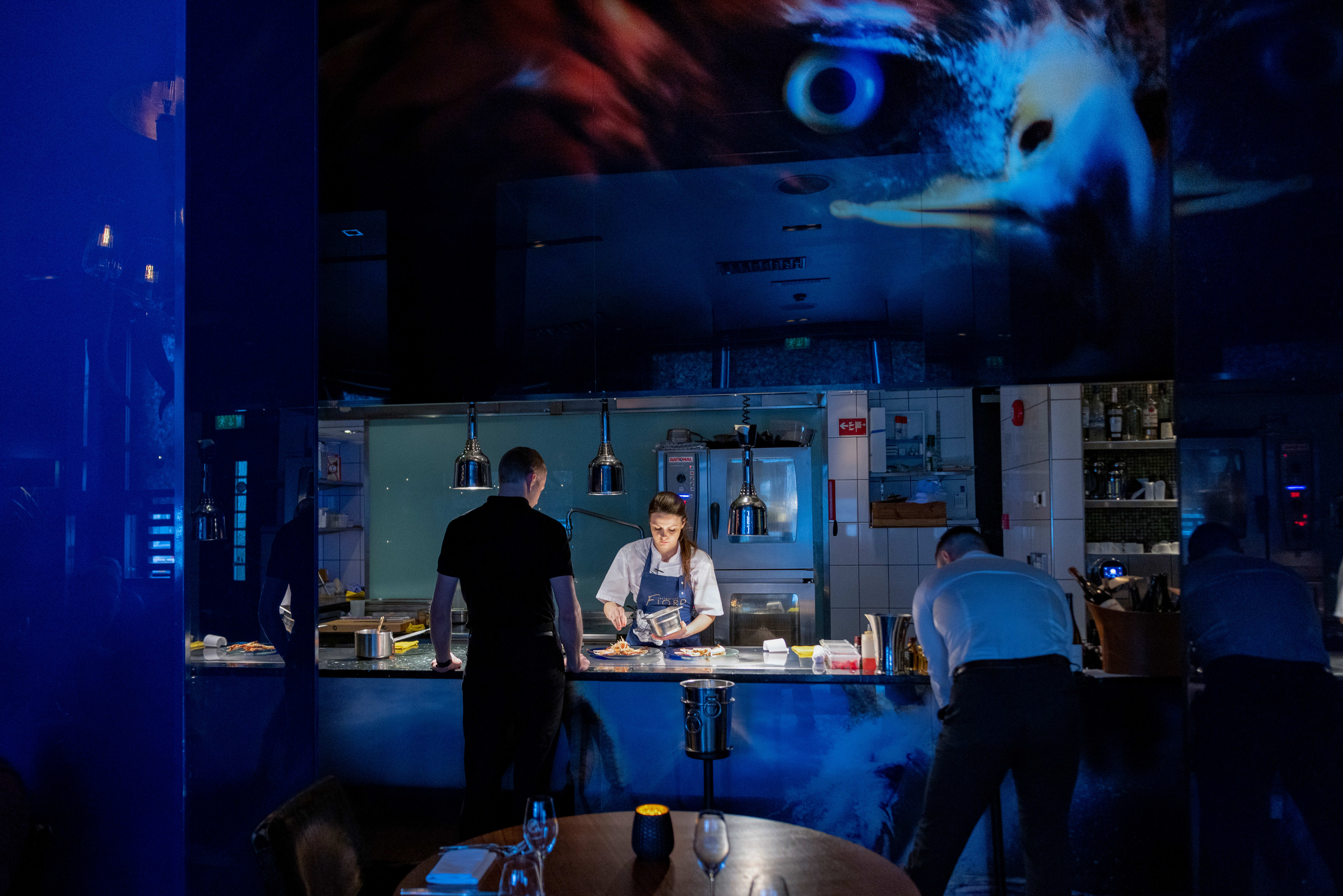 Åpent kjøkken med stirrende havørn over. 