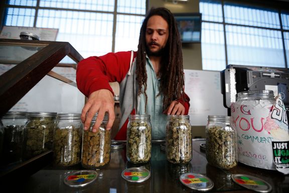 California legaliserer cannabis som rusmiddel