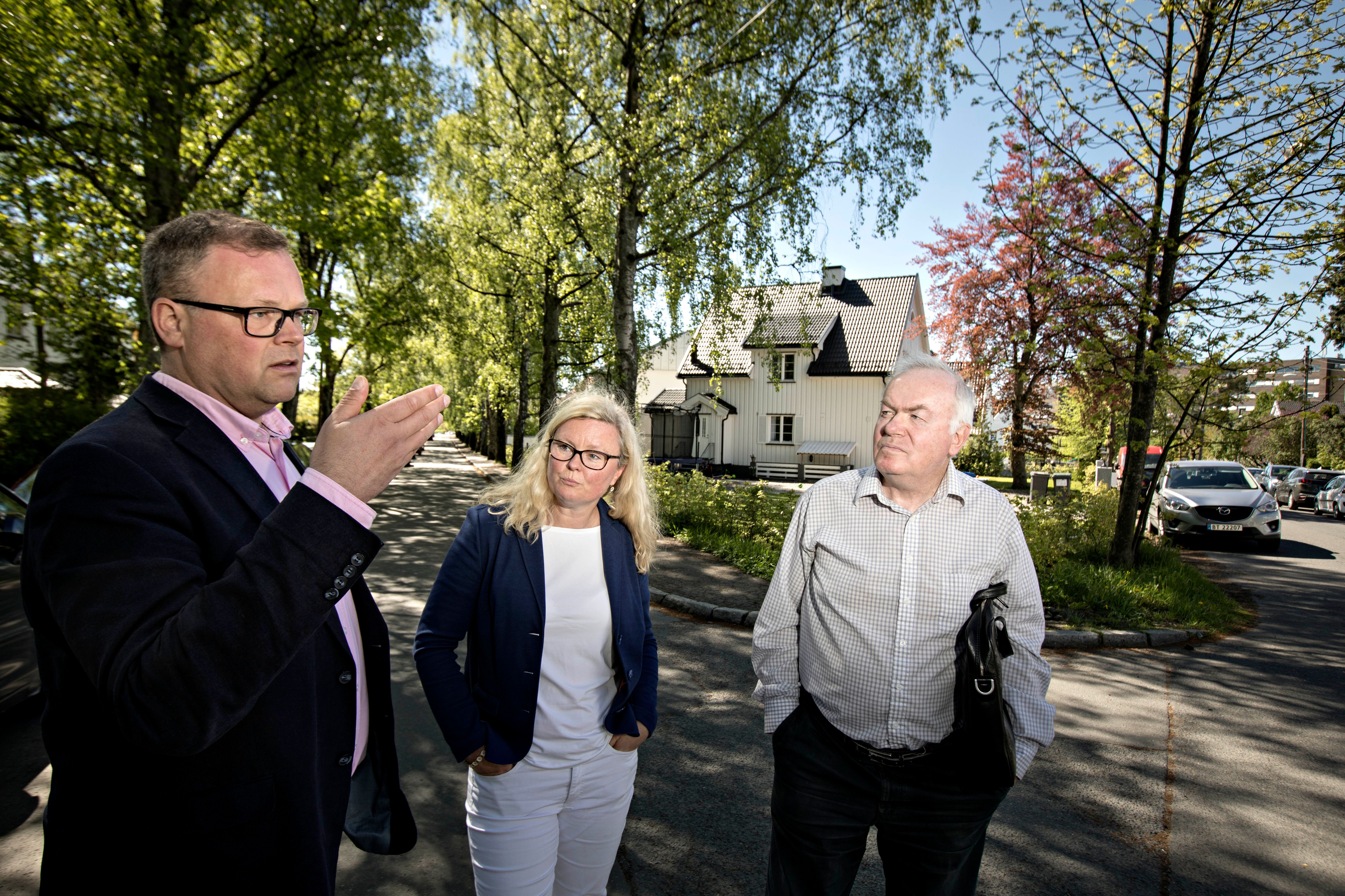 Hvilke Partier Sitter I Regjeringen
