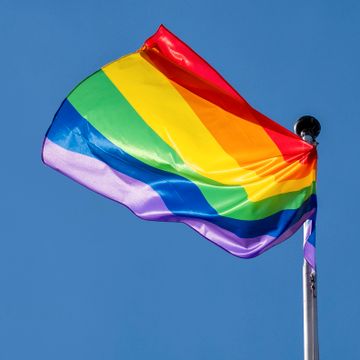 Motstanden mot Pride er på vei fra ytterkantene til det etablerte