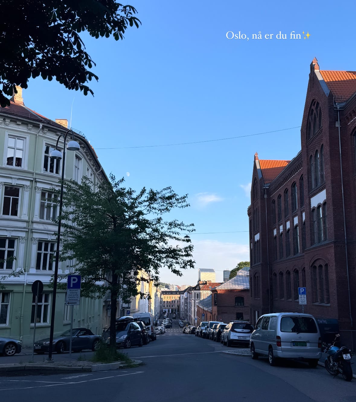 Slik lever du som en ekte basic bitch i Oslo