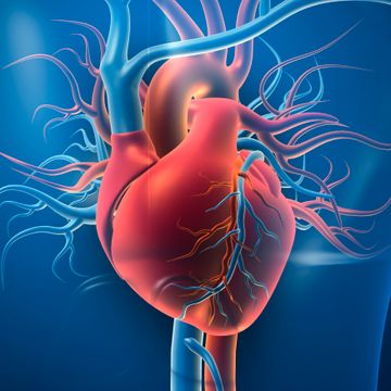 Kan vi behandle hjertesykdom ved å hemme betennelsesfabrikken?