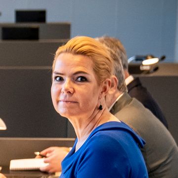 Danmarks tidligere innvandringsminister dømt til fengsel