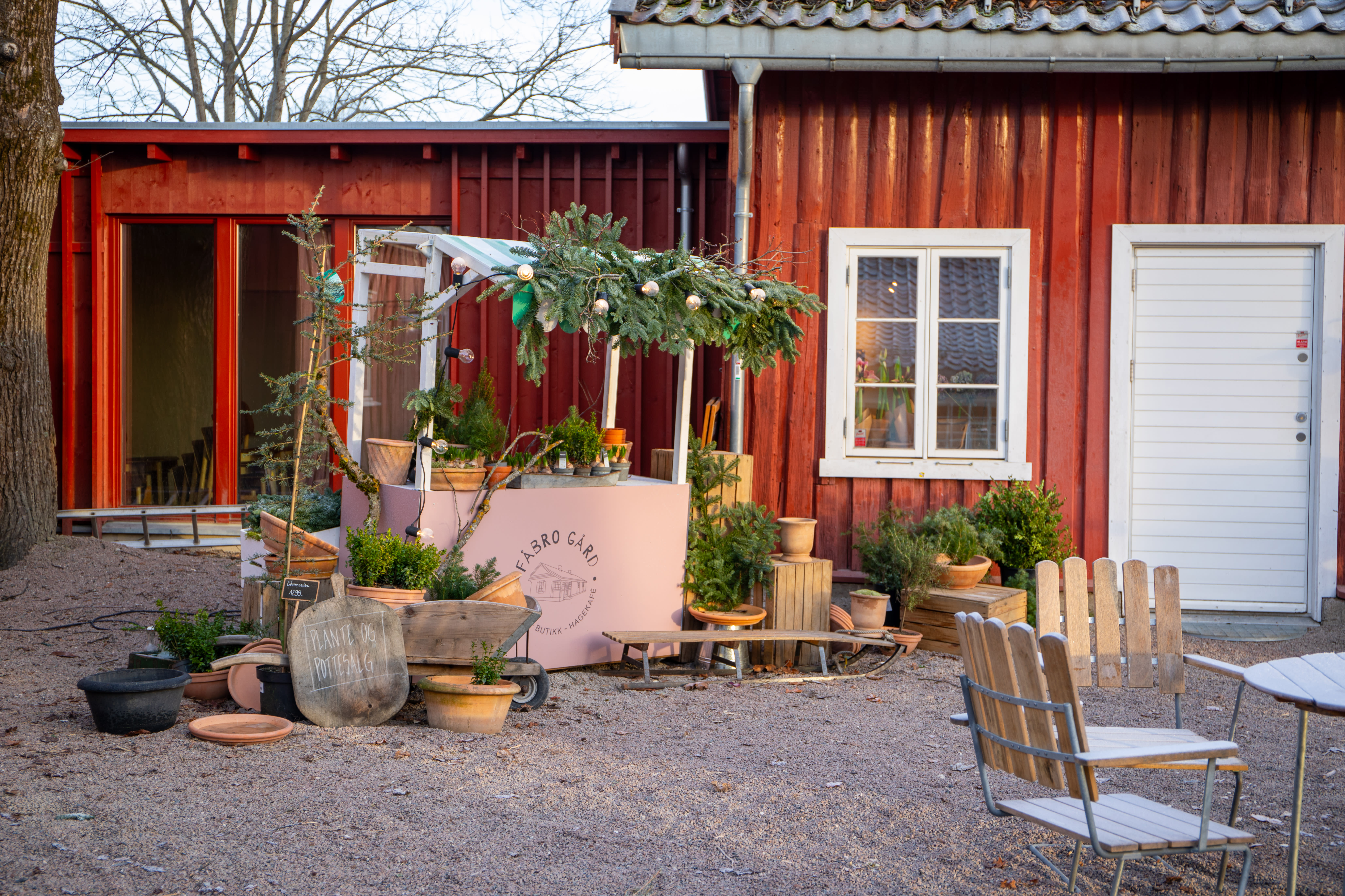 Du kan for eksempel plukke med deg skolebollene på Fåbro gård mens du er der!
