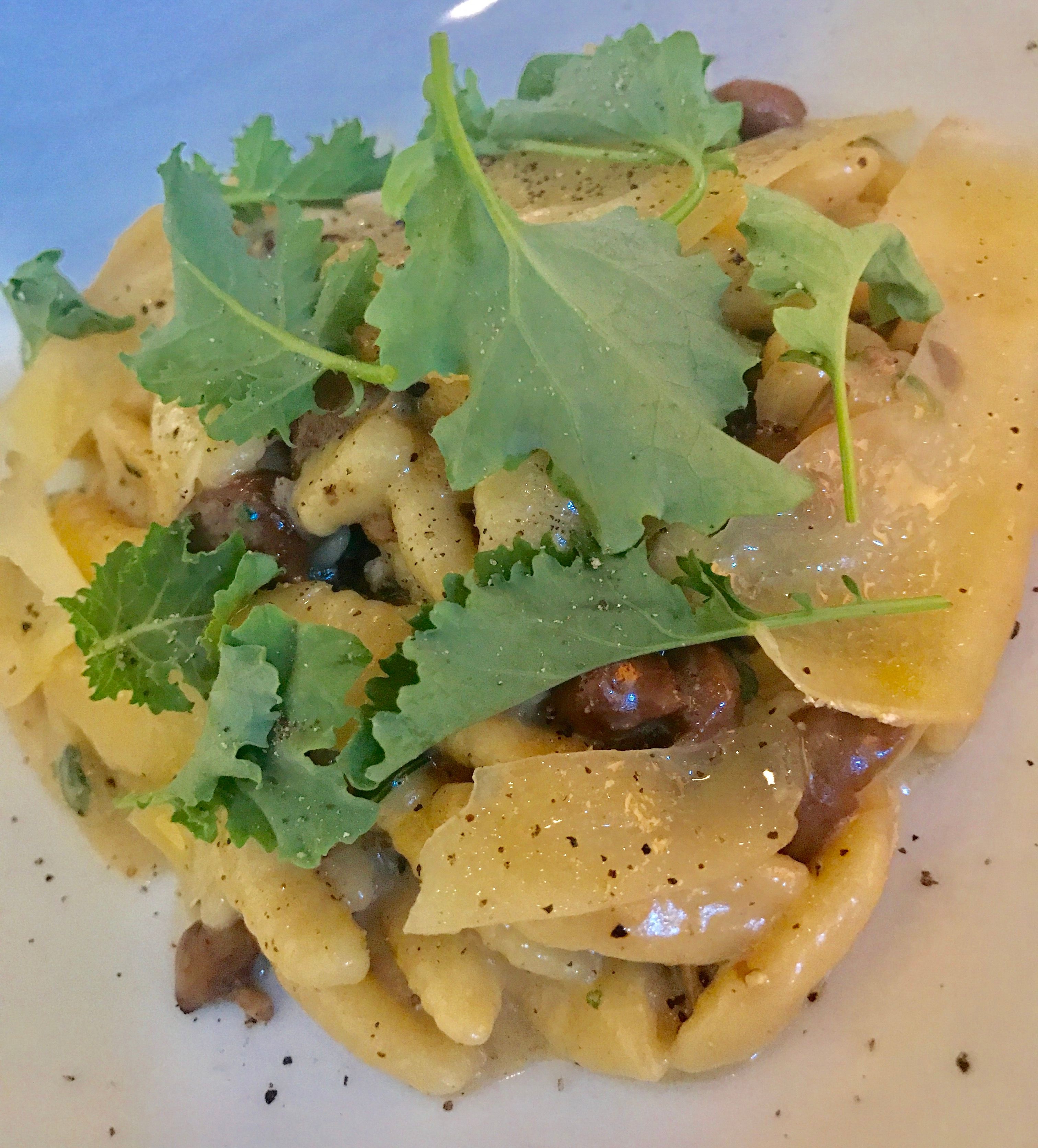 På menyen står cavatelli med Holtefjell XO. 