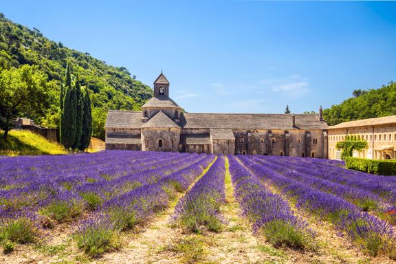 Nå er Provence på sitt kanskje aller vakreste 