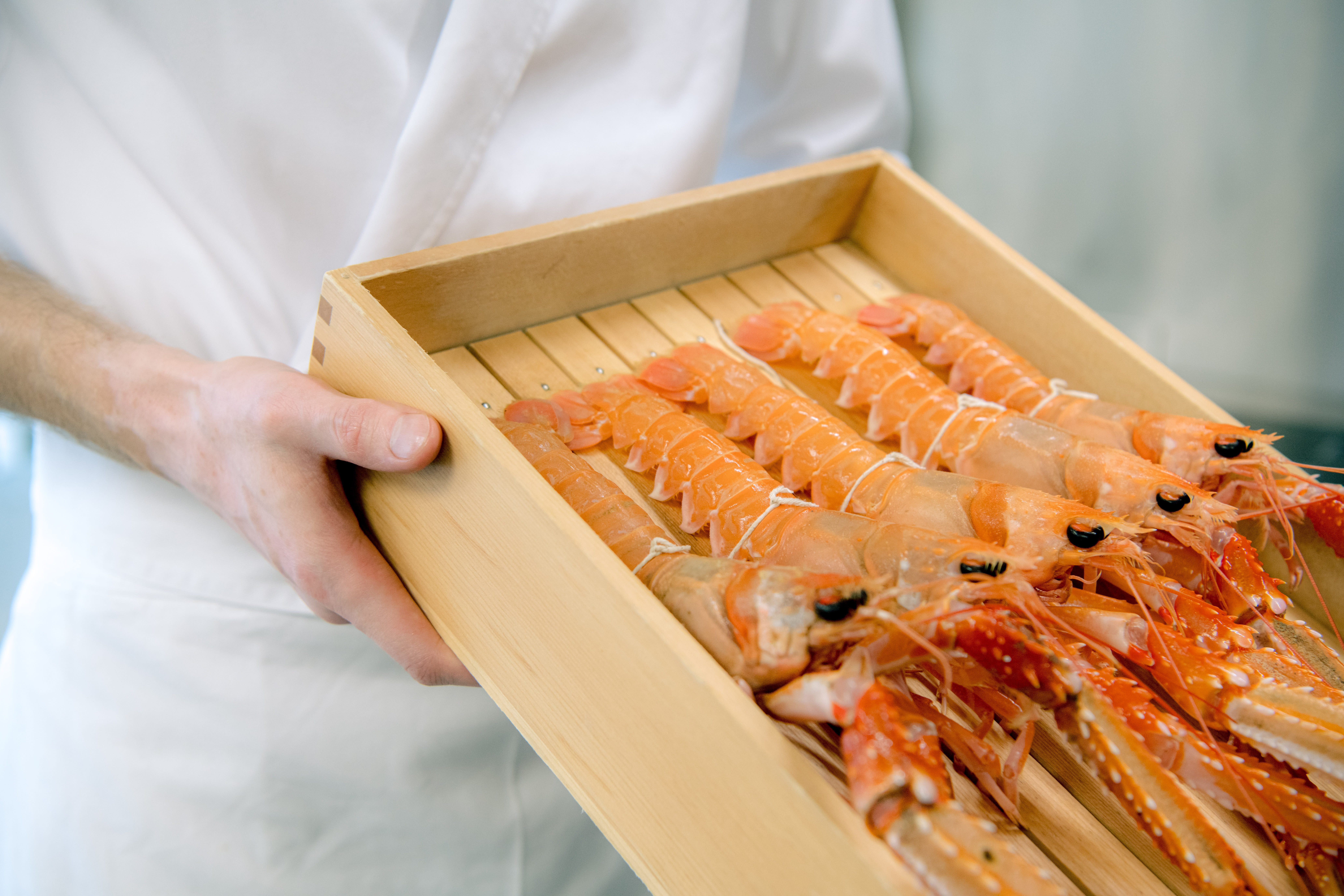 Du kan stole på kokken på Sabi Omakase Oslo