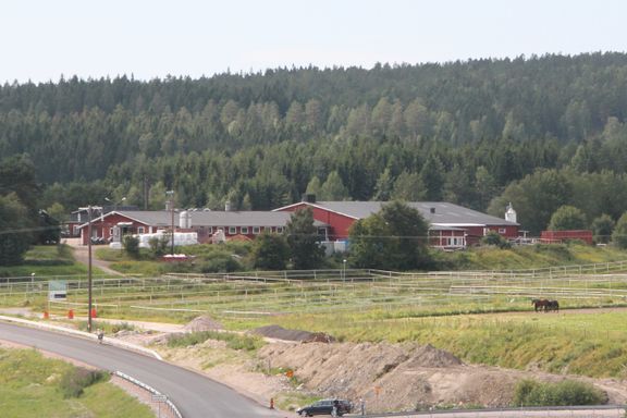 Her satser Tjomsland stort etter nytt jubelår – har kjøpt gård til seks millioner