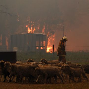 Brannvesenet slår katastrofealarm i Australia