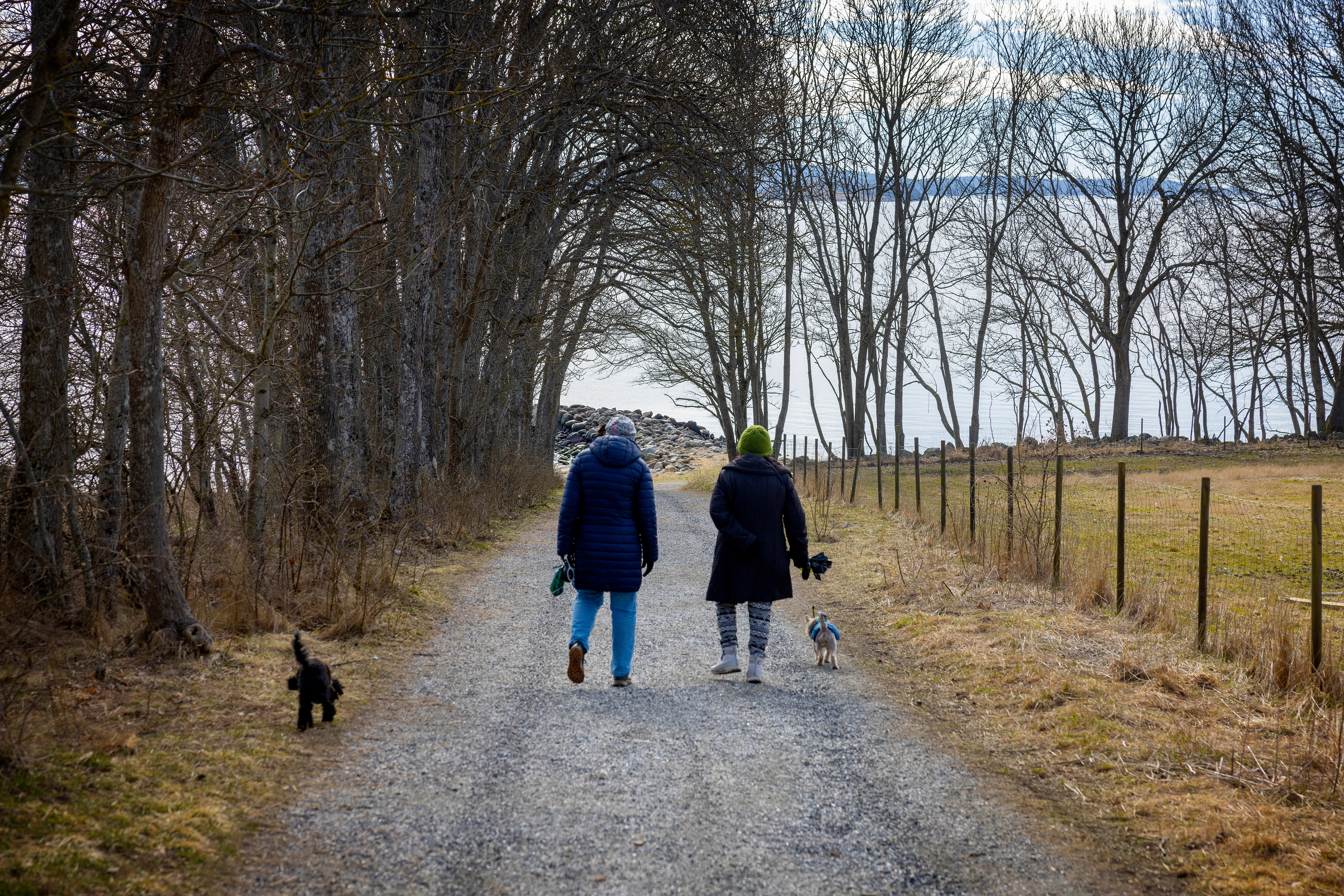Seks dagsturer med bil nær Oslo