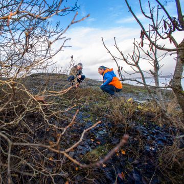 Hageplanter angriper truede arter. Fiendene står i kø i Oslofjorden. 