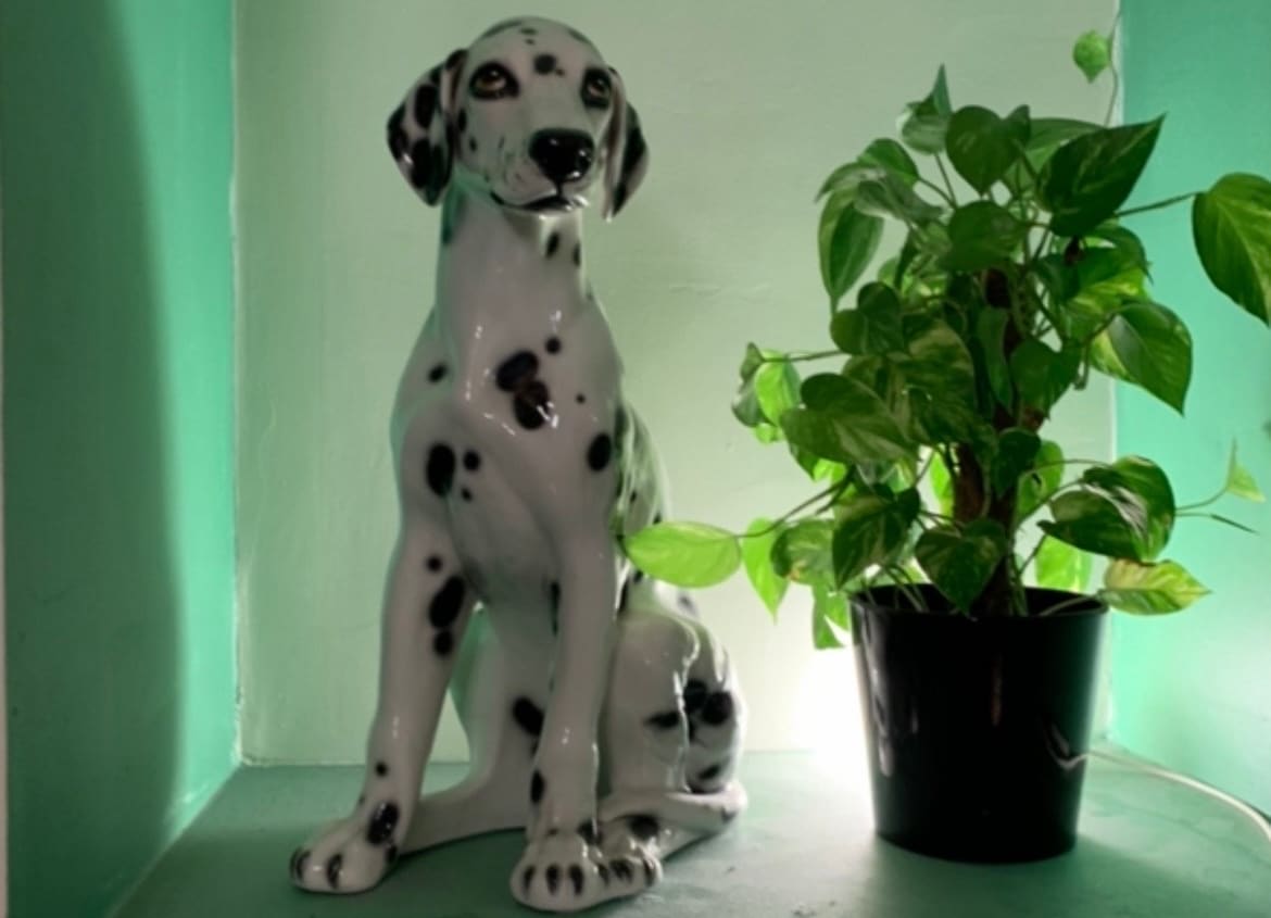 Farine på Kampen sliter med tyverier: – Skikkelig bedritent.