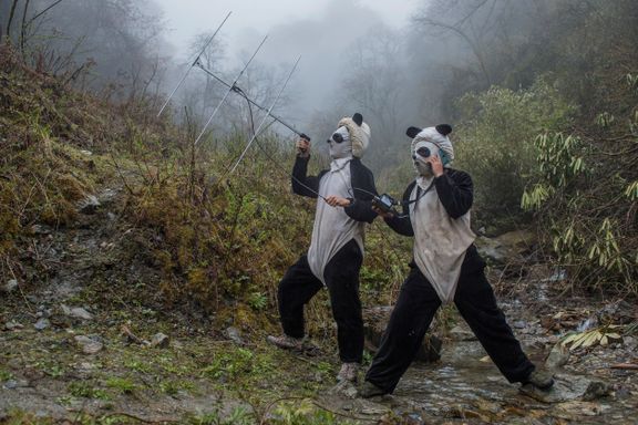 Alt for pandaens overlevelse: Denne fotoserien sikret Ami Vitale en annenplass i World Press Photo-konkurransen