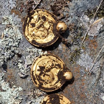 Gullskatt fra 500-tallet funnet med metallsøker: – Vanskelig å beskrive begeistringen
