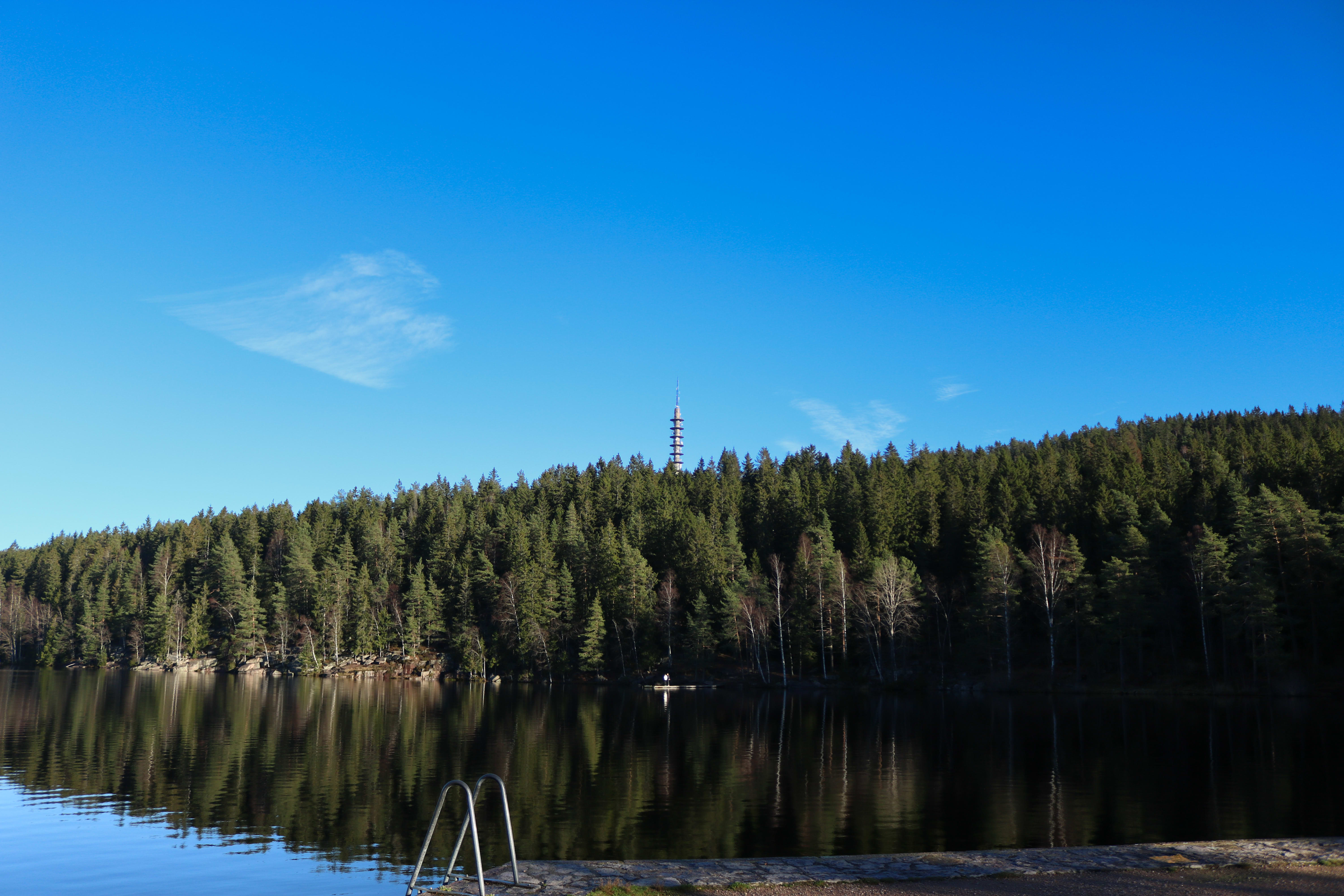 Fra Steinbruvann i Lillomarka kan du se TV-tårnet på Røverkollen.