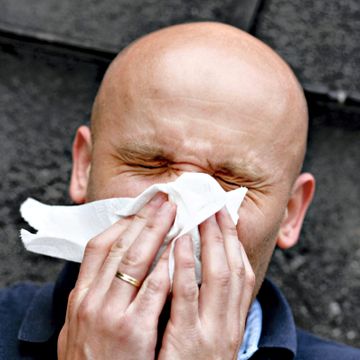 500.000 allergikere vil snart hoste, nyse og klø i halsen. Hvordan skille dette fra koronasymptomer?
