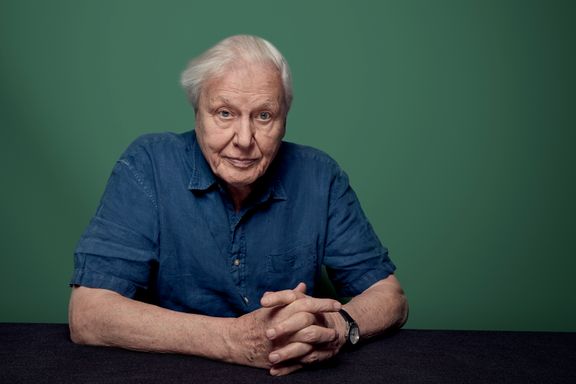 Dyreelskeren David Attenborough har ikke lenger dyr hjemme. Han reiser for mye.