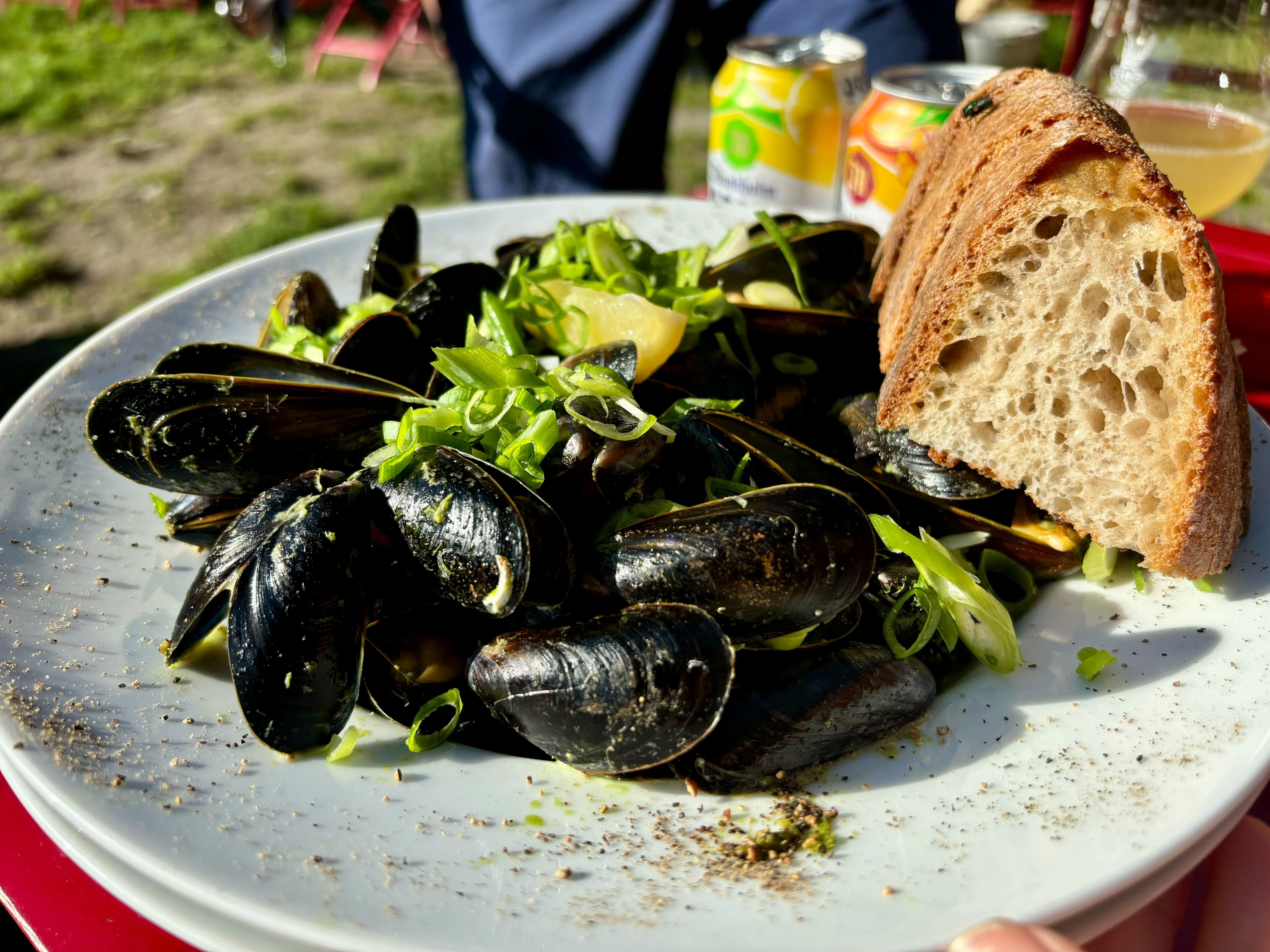 Blåskjellene koster 269 kroner. Det er de verdt. 