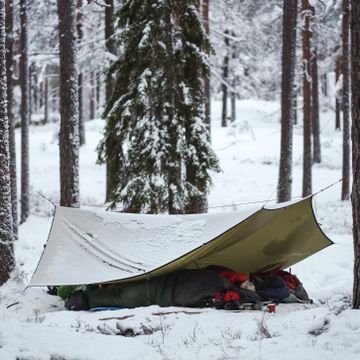 Du trenger ikke telt for å sove ute i skogen. Det er ofte best uten.