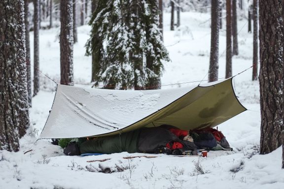 Du trenger ikke telt for å sove ute i skogen. Det er ofte best uten.