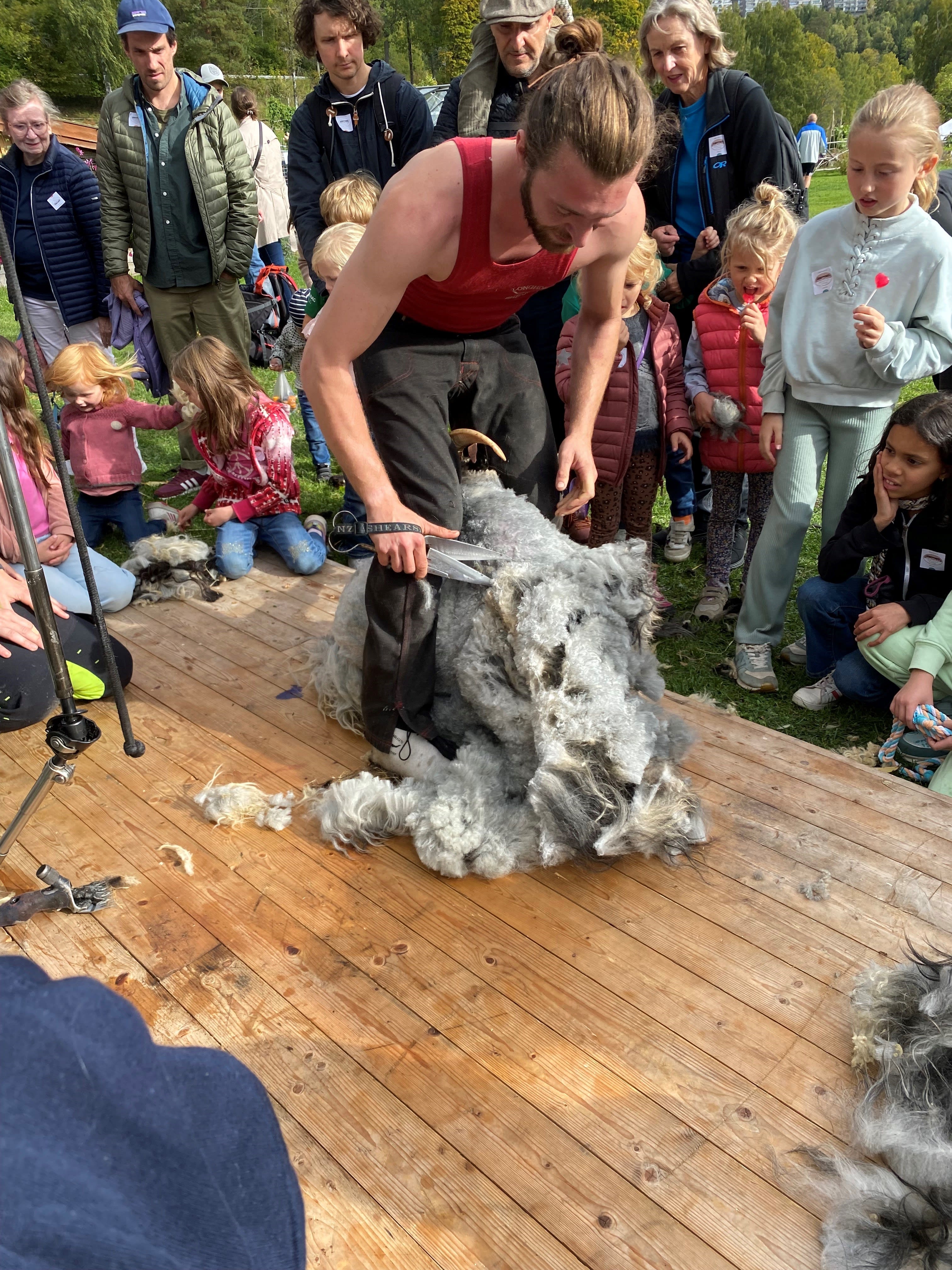 Ting å gjøre med små barn i Oslo i helgen