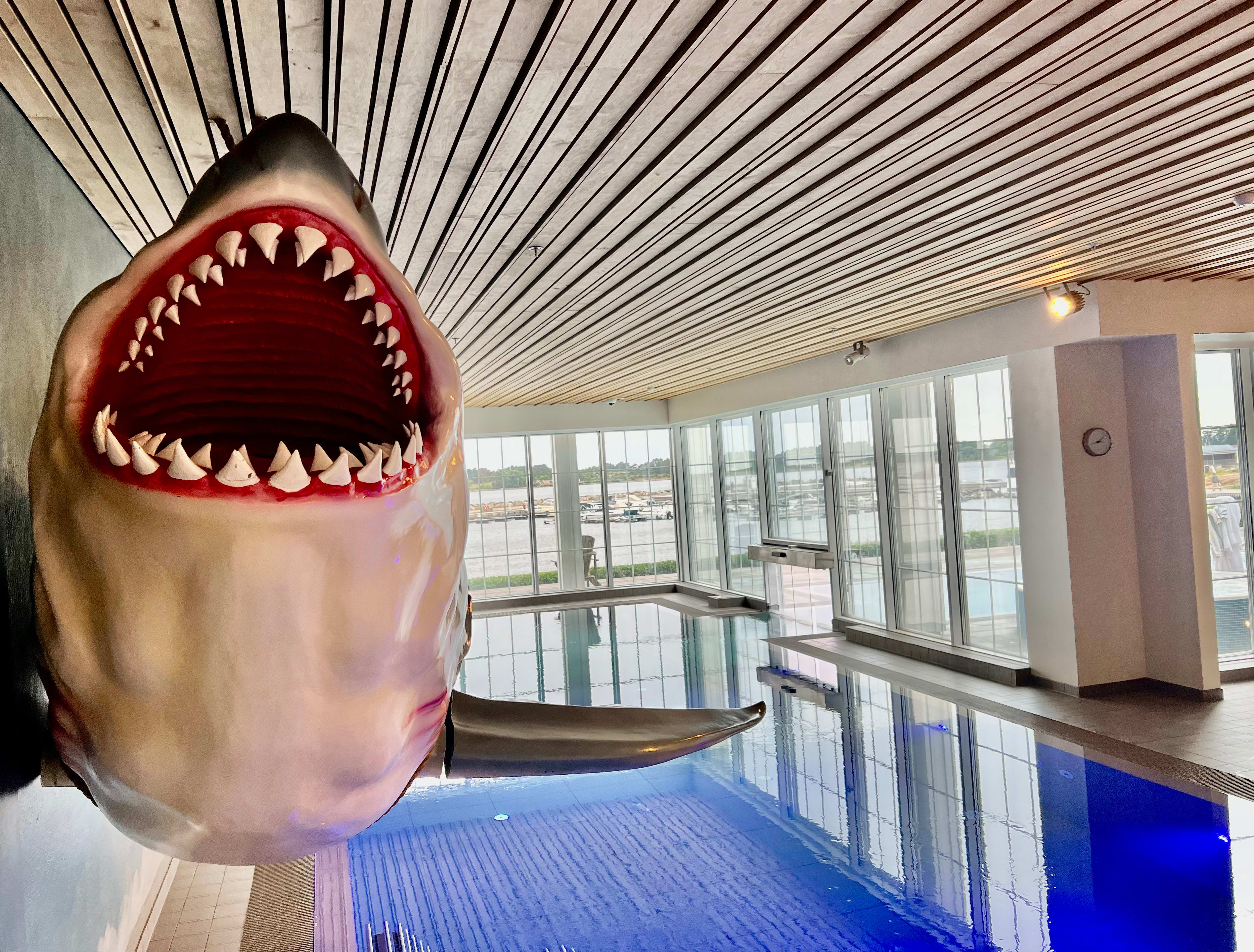 Haien kommer fra innspilling på Martha’s Vineyard.