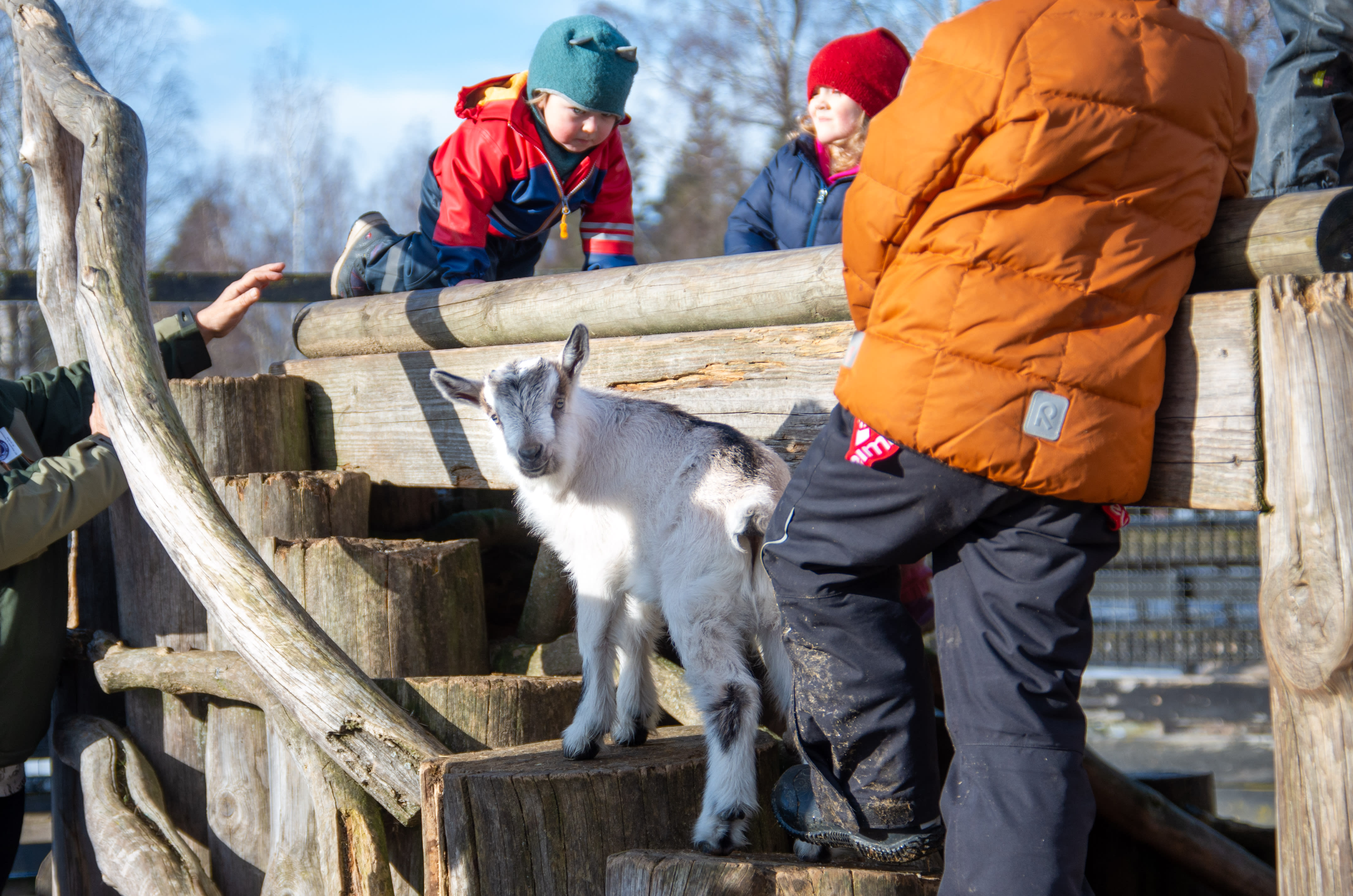 13 ting å gjøre i Oslo i påsken