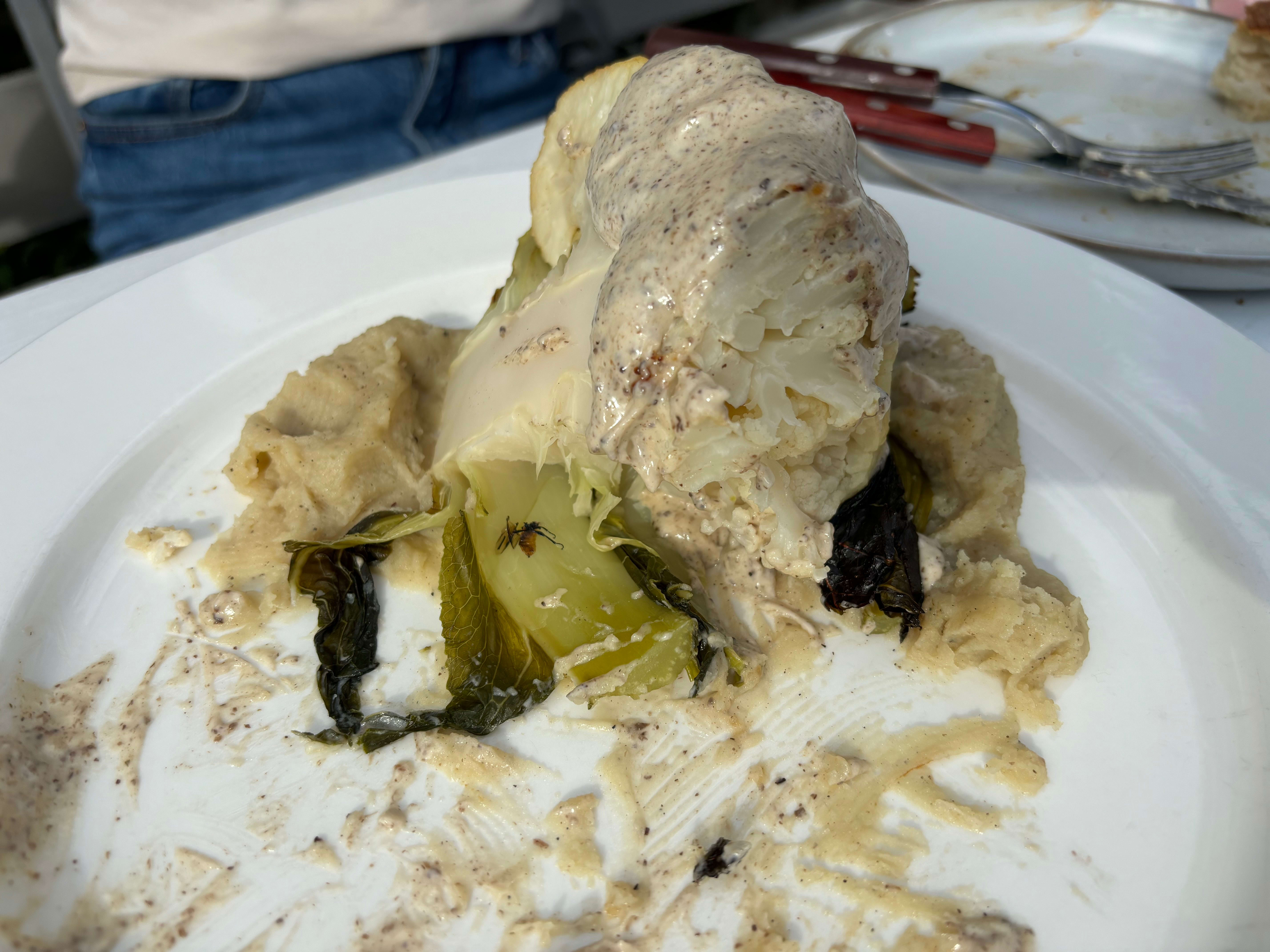 Kelner! Det er en flue i blomkålen min!