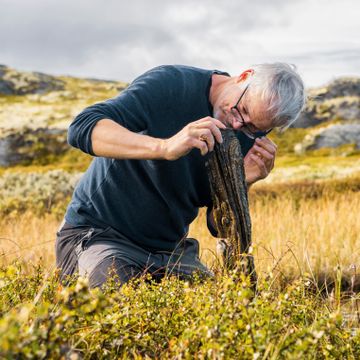 9000 år gammel skatt avslører hvordan Norge blir om 100 år