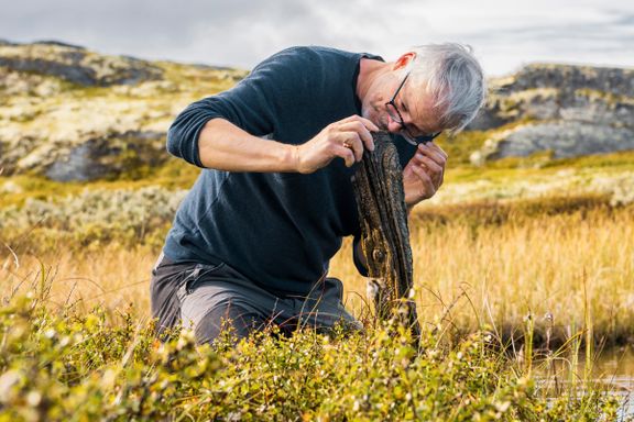 9000 år gammel skatt avslører hvordan Norge blir om 100 år