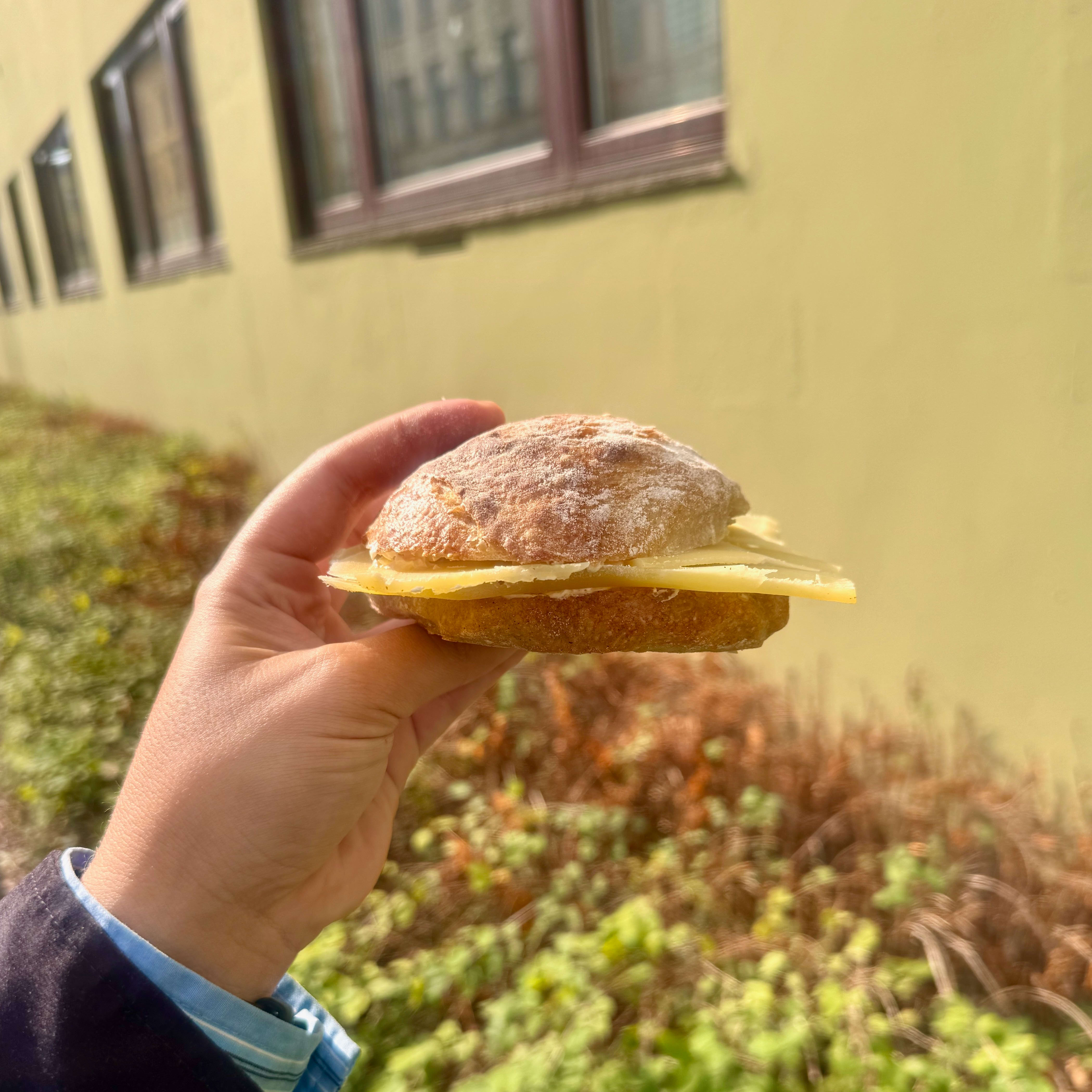 Dette rundstykket vekker sterke følelser