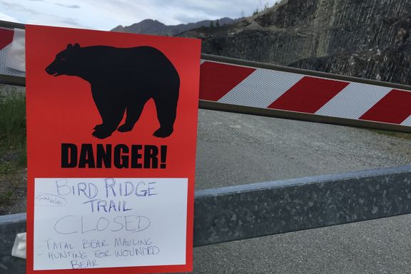 16-åring drept av bjørn i Alaska