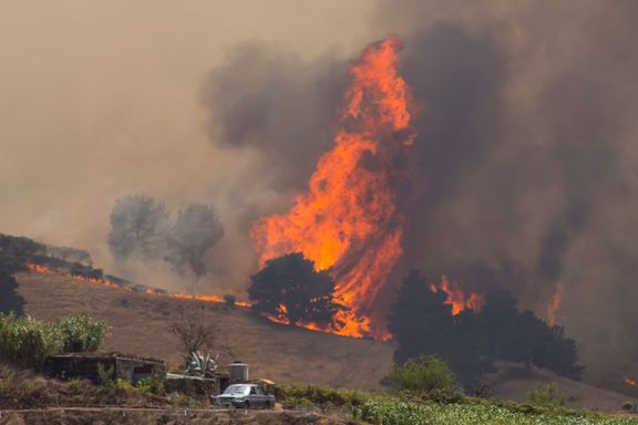 Skogbrann på Gran Canaria ute av kontroll – 8000 evakuert