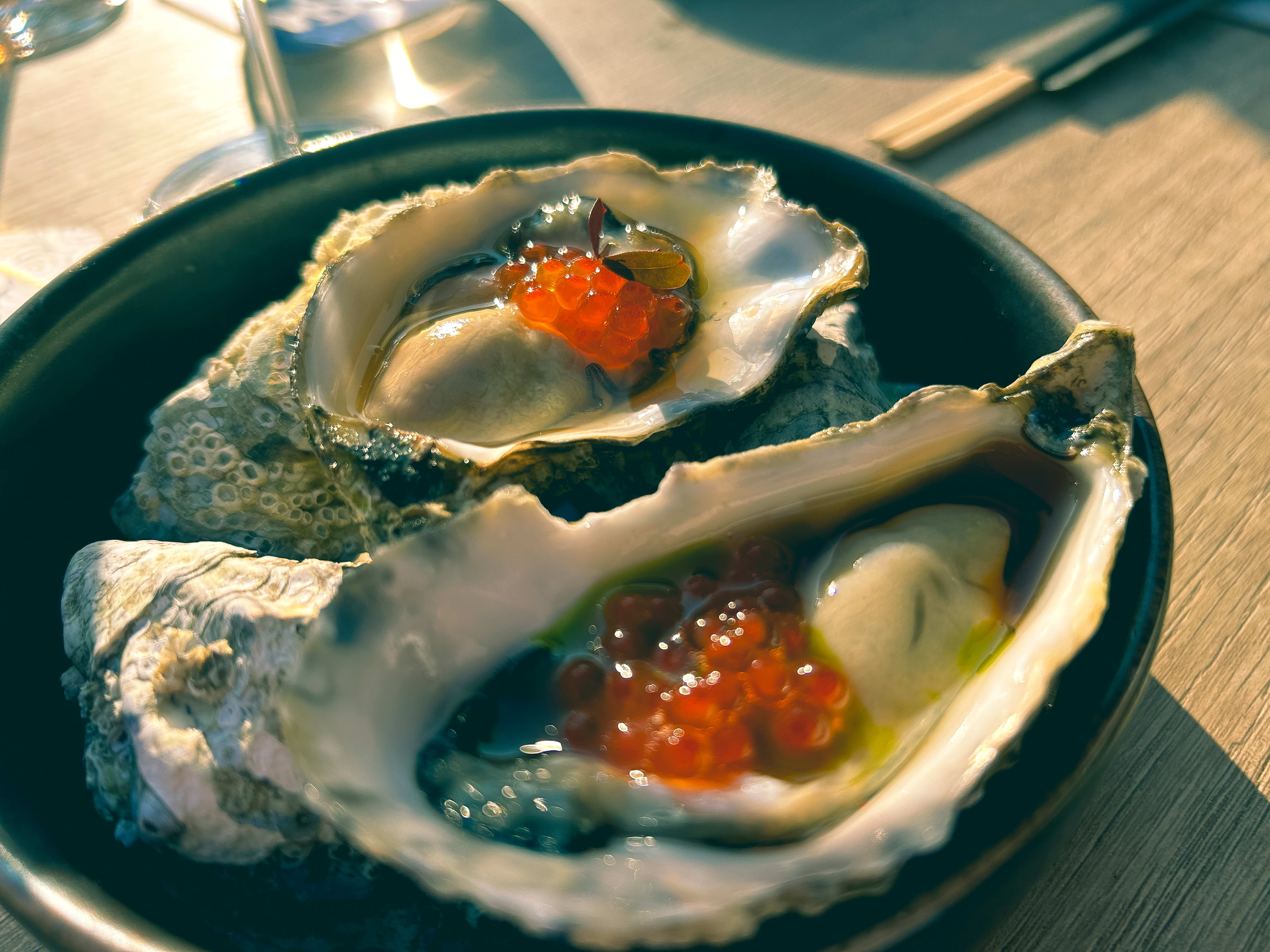 Gillardeau-østers med ponzusaus og dillolje.