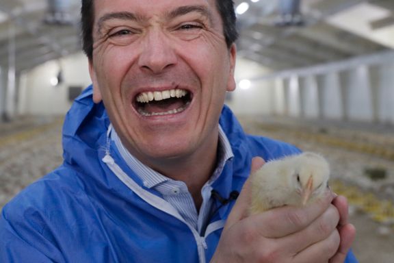 Rema 1000 lanserer ny kyllingrase i Norge – bytter ut 14 millioner kyllinger