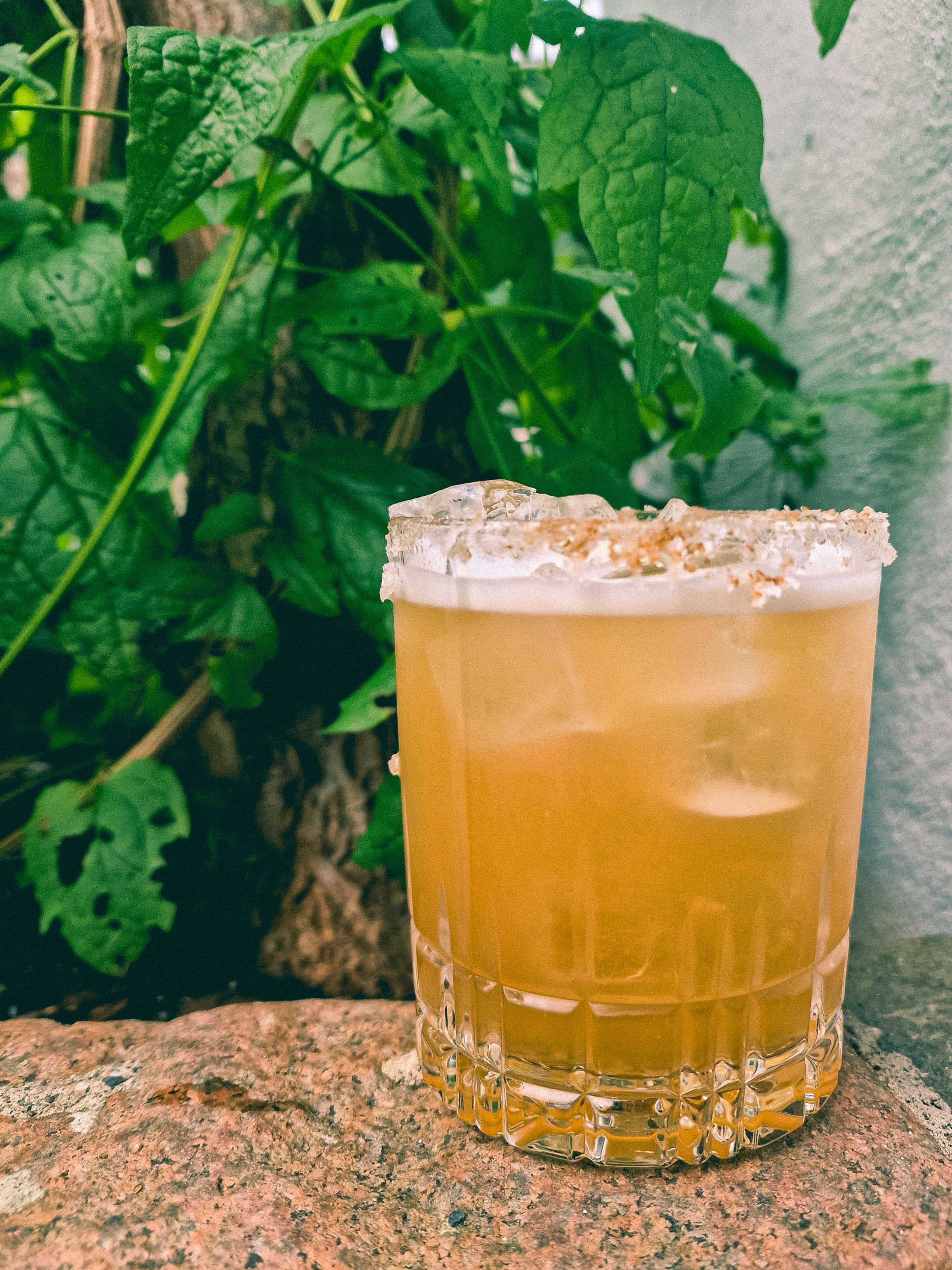 Steinsopp-margarita! Hos Kolonihagen Frogner lager de drinker basert på ville vekster.