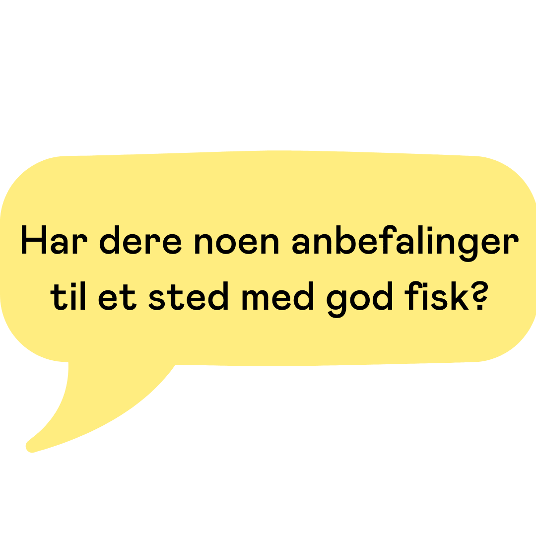 Hvilke spisesteder i Oslos er rimelige, men også bra? Hvor burde jeg spise i Bjørvika?