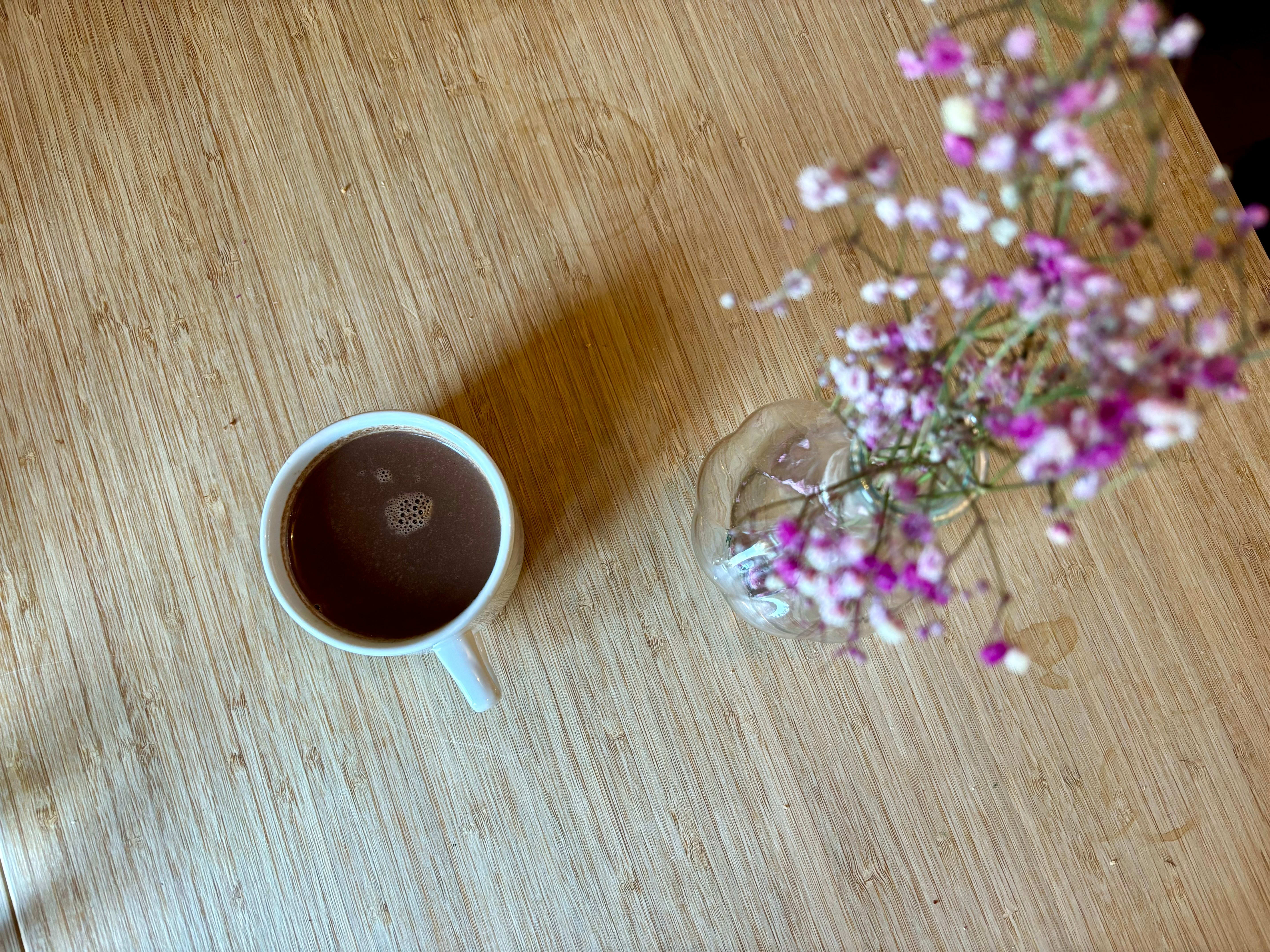 Den store kakao-guiden for høsten 2024